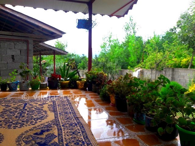 عکس شماره 160905 - اجاره ویلا در ییلاقات ماسال - 