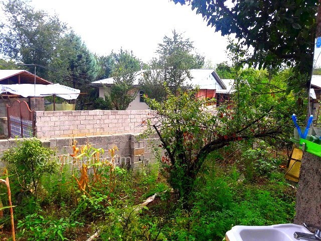 عکس شماره 160913 - اجاره ویلا در ییلاقات ماسال - 