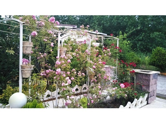 عکس شماره 161143 - ویلا دوبلکس در نشتارود - 