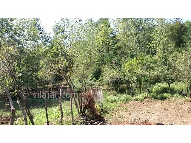 عکس شماره 161499 - ویلا اجاره ای در ماسال - 