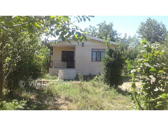 عکس شماره 162021 - اجاره ویلای ساحلی تالش - 