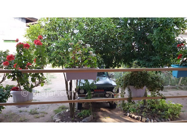 عکس شماره 162167 - اجاره ویلا نزدیک ساحل تالش - 