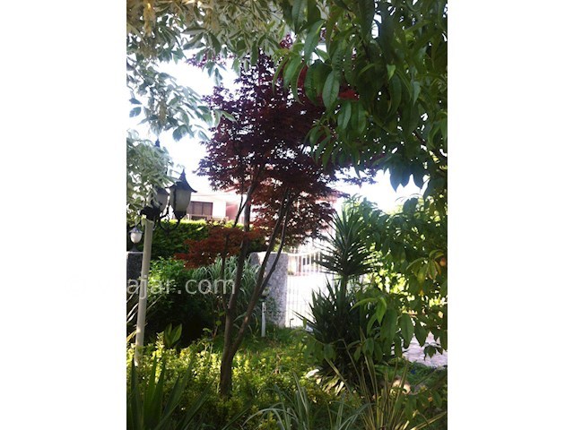 عکس شماره 163231 - ویلا اجاره ای در متل قو - 