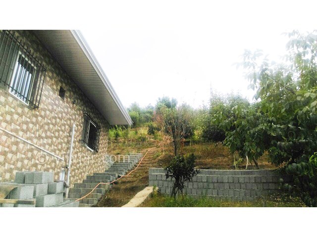 عکس شماره 163877 - اجاره ویلای جنگلی در بابل - 