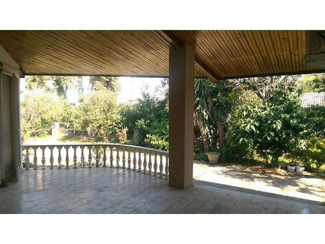 عکس شماره 164091 - ویلا اجاره ای داخل شهرک در نور - 