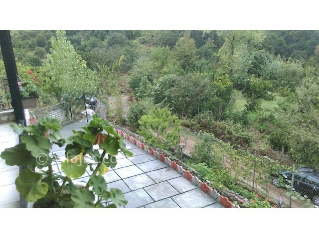 عکس شماره 165575 - اجاره ویلای جنگلی در بابل - 