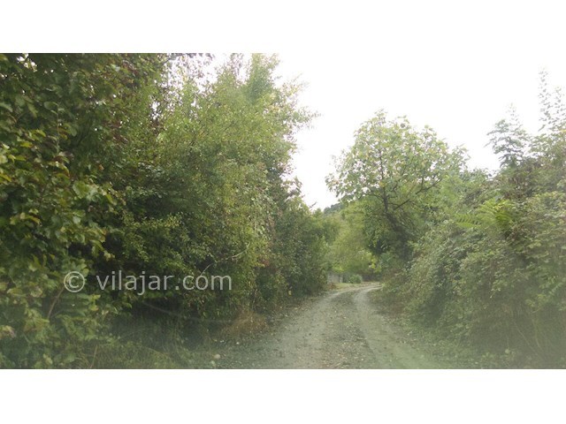 عکس شماره 165583 - اجاره ویلای جنگلی در بابل - 