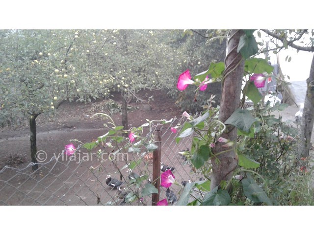 عکس شماره 165605 - خانه روستایی در ییلاق مریان - 