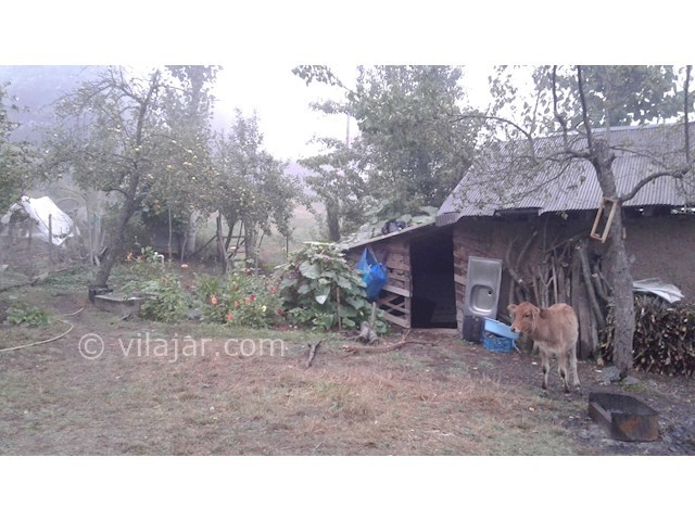 عکس شماره 165607 - خانه روستایی در ییلاق مریان - 