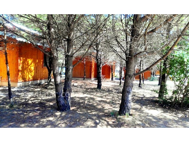 عکس شماره 166641 - اجاره کلبه جنگلی در تالش -