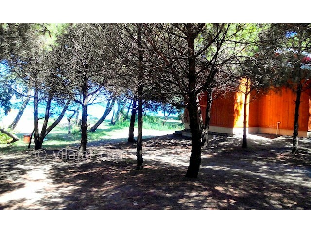 عکس شماره 166651 - اجاره کلبه جنگلی در تالش -