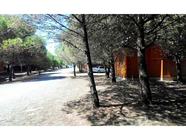 عکس شماره 166655 - اجاره کلبه جنگلی در تالش -