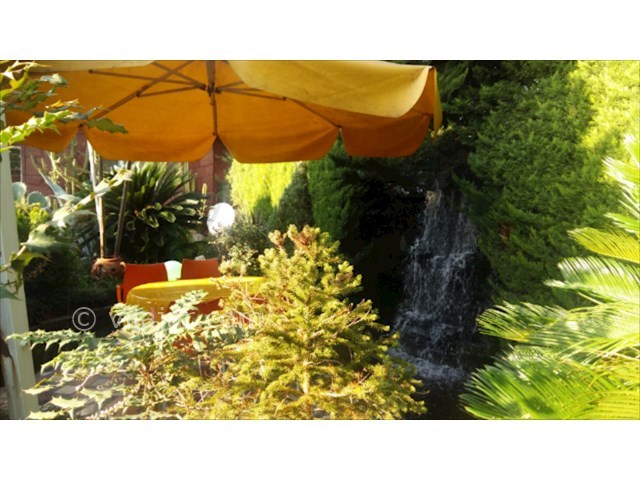 عکس شماره 168095 - اجاره ویلا دوبلکس نزدیک نور - 