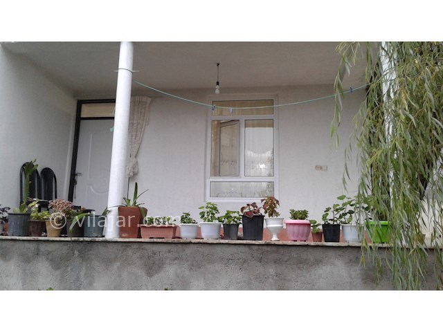 عکس شماره 168859 - سوئیت جنگلی گردنه حیران -