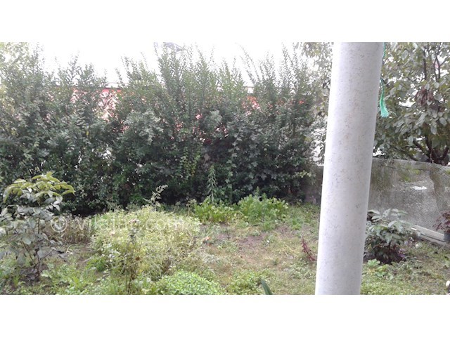 عکس شماره 168861 - سوئیت جنگلی گردنه حیران -