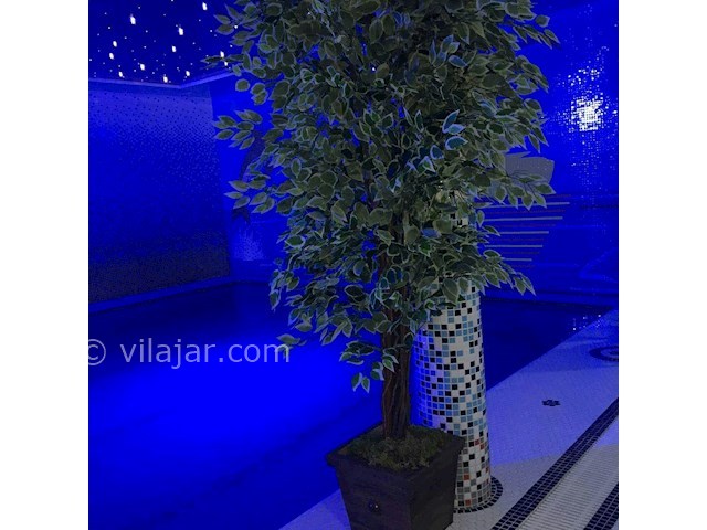 عکس شماره 170019 - ویلا با استخر سونا جکوزی چالوس - 