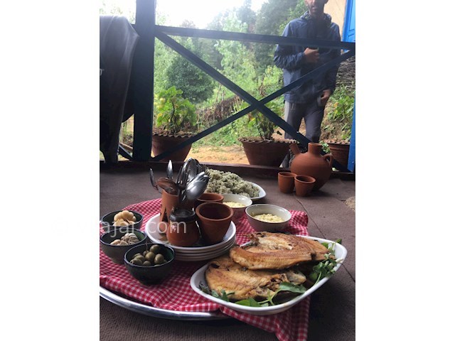 عکس شماره 170461 - کلبه جنگلی پرداروم در تنکابن - 