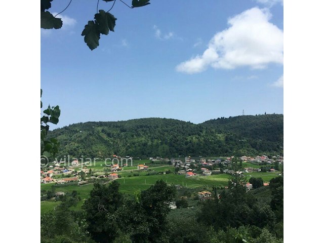 عکس شماره 170467 - کلبه جنگلی پرداروم در تنکابن - 