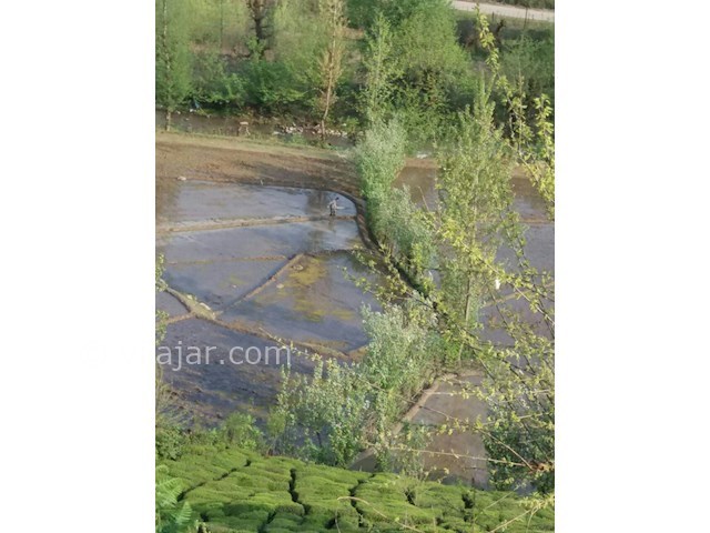 عکس شماره 170843 - عمارت سنتی خانم بزرگ در فومن - 