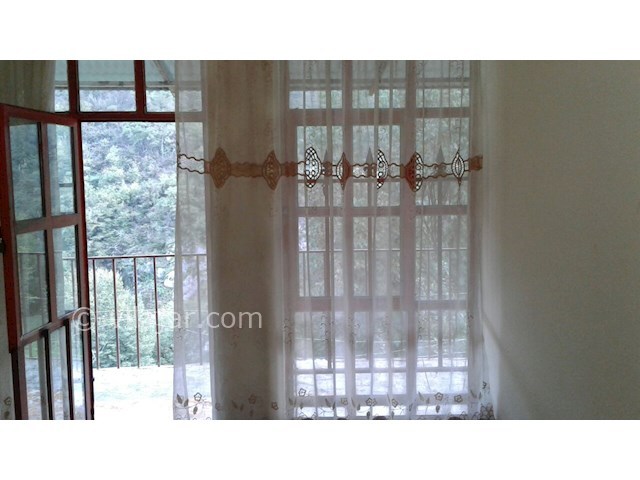 عکس شماره 171069 - ویلای جنگلی ییلاقی در تالش - 