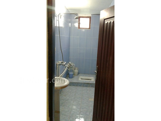 عکس شماره 171073 - ویلای جنگلی ییلاقی در تالش - 