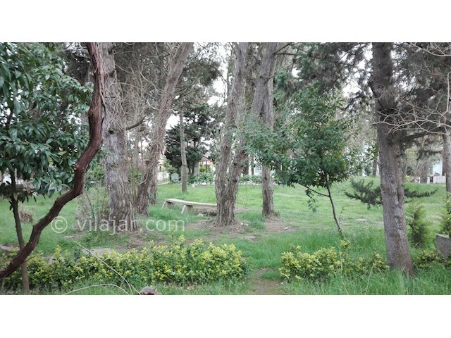 عکس شماره 171173 - اجاره ویلا در دریاکنار - 