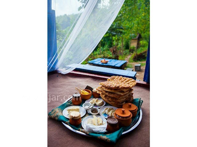 عکس شماره 171299 - کلبه جنگلی پرداروم در تنکابن - 