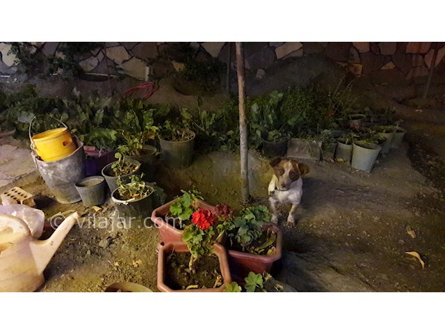 عکس شماره 171601 - باغ ویلا دوبلکس لوکس مشهد - 