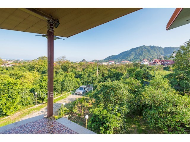 عکس شماره 171779 - اجاره ویلا جنگلی رامسر - 