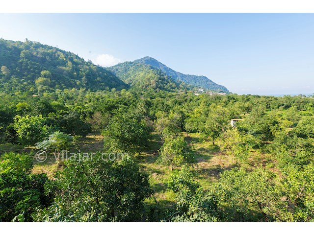 عکس شماره 171781 - اجاره ویلا جنگلی رامسر - 