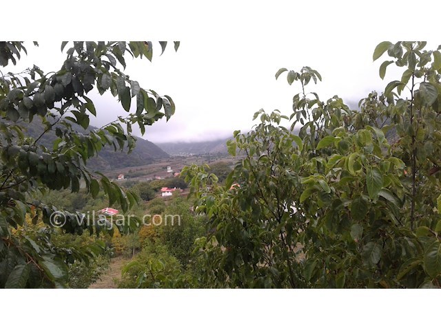 عکس شماره 173437 - خانه جنگلی در ییلاق مریان - 