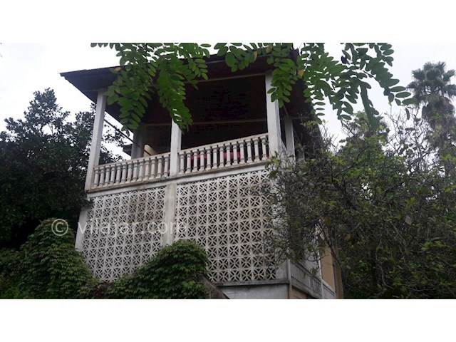 عکس شماره 174017 - ویلا جنگلی در اربکله رامسر - 