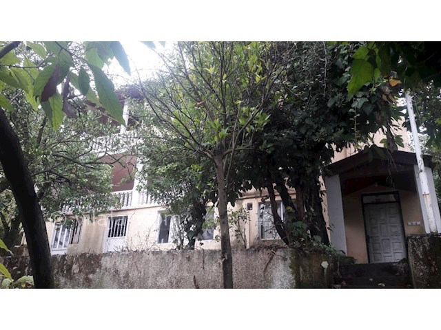 عکس شماره 174037 - ویلا جنگلی در اربکله رامسر - 