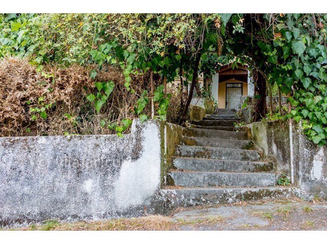 عکس شماره 174045 - ویلا جنگلی در اربکله رامسر - 