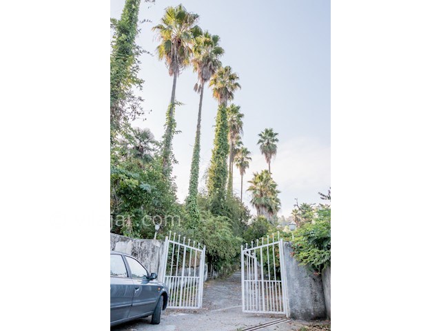 عکس شماره 174047 - ویلا جنگلی در اربکله رامسر - 