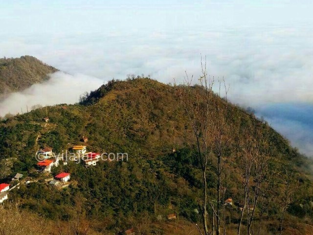 عکس شماره 174909 - اجاره ویلا سرولات چابکسر ویوی دریا - مناظر پایین دست ویلای رویایی