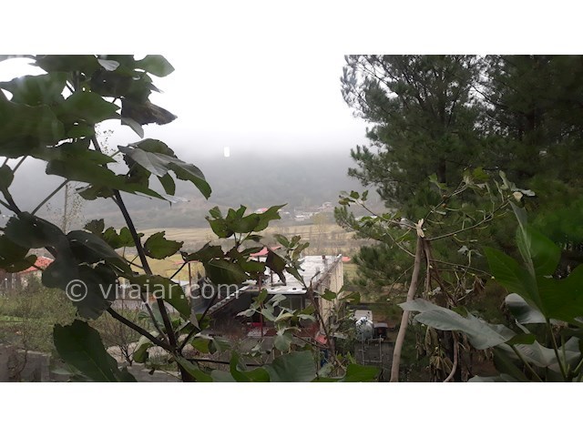 عکس شماره 175897 - اجاره ویلای جنگلی در تالش - 