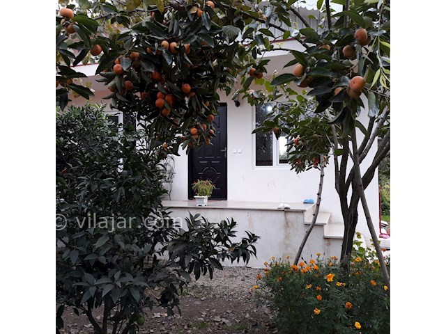 عکس شماره 176627 - اجاره ویلای جنگلی آستارا - 