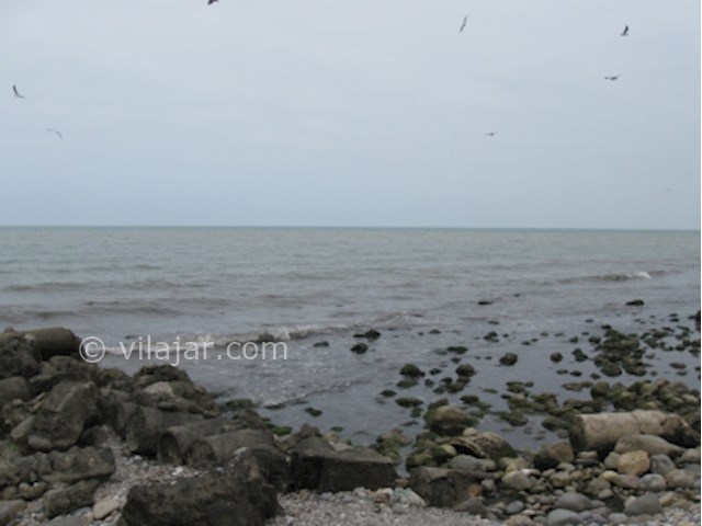 عکس شماره 176709 - اجاره ویلای ساحلی چالکرود - 