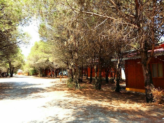 عکس شماره 177023 - اجاره کلبه جنگلی در تالش -