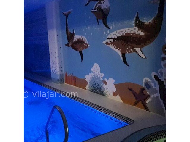 عکس شماره 177887 - اجاره ویلای استخردار ساحلی - 