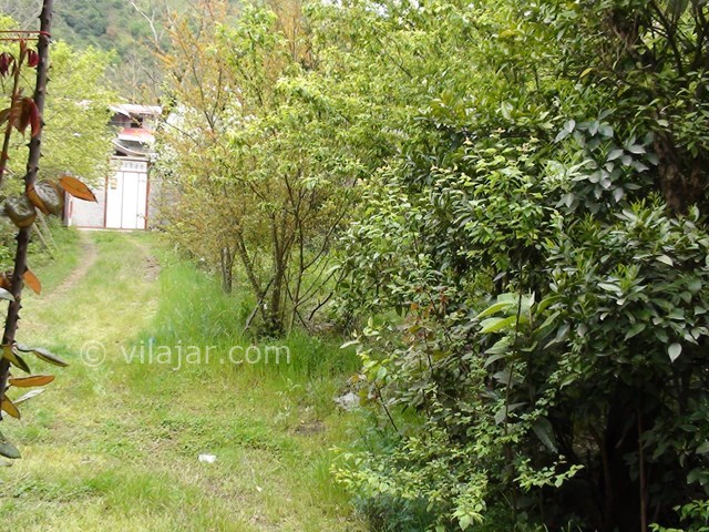 عکس شماره 17813 - اجاره ویلا شمال در رحیم آباد - 