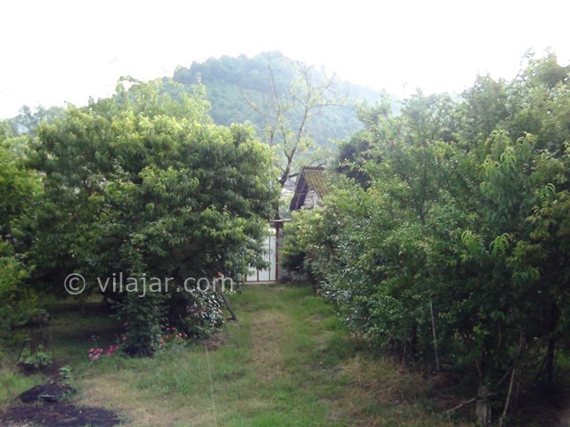 عکس شماره 17821 - اجاره ویلا شمال در رحیم آباد - 