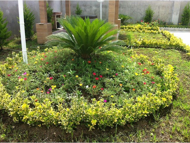 عکس شماره 180611 - اجاره ویلا در انزلی ساحلی - 