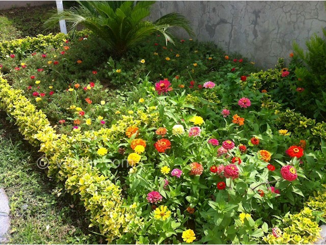 عکس شماره 180619 - اجاره ویلا در انزلی ساحلی - 