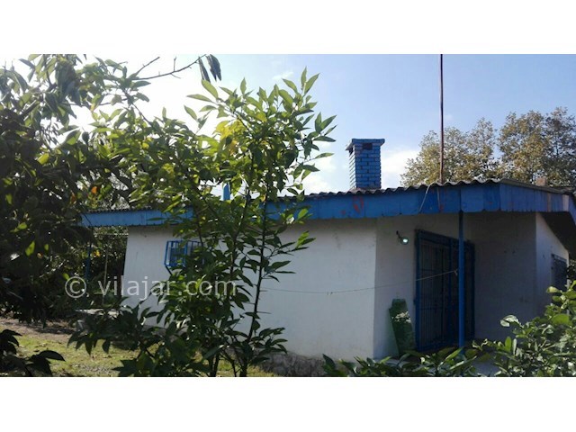 عکس شماره 181559 - اجاره ویلای ساحلی دربست - 