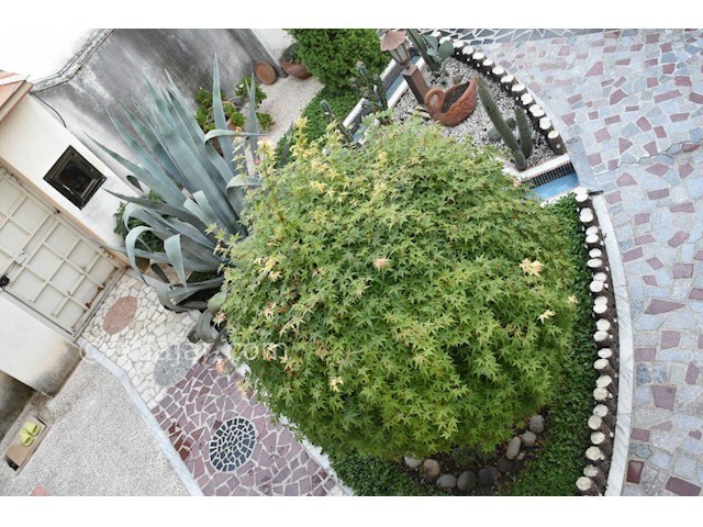 عکس شماره 181981 - اجاره ویلا لب دریا محمودآباد - 