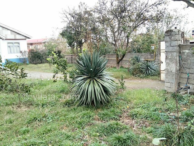 عکس شماره 182051 - اجاره ویلای جنگلی در تالش - 