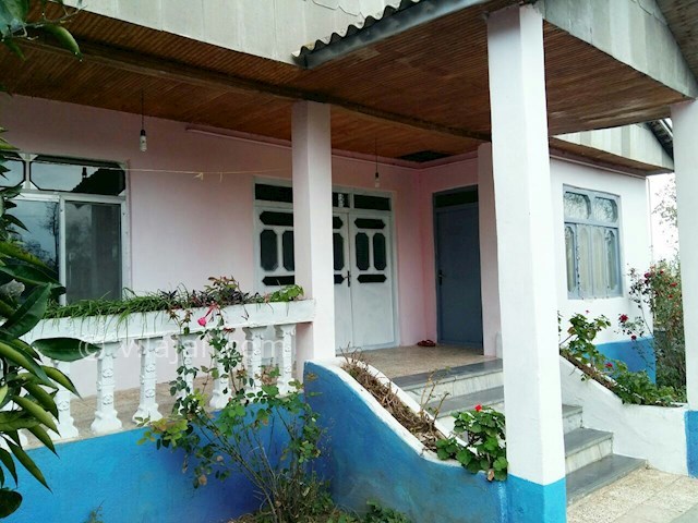 عکس شماره 182089 - اجاره ویلای جنگلی در تالش - 