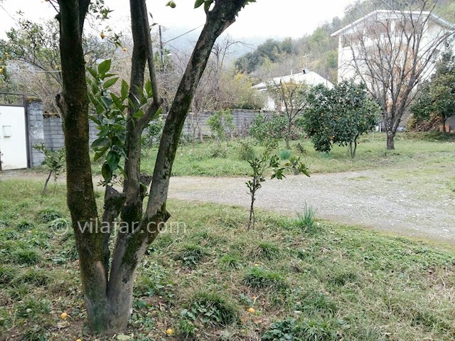 عکس شماره 182101 - اجاره ویلای جنگلی در تالش - 